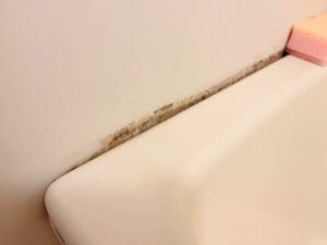 水アカ、カビ汚れが気になる